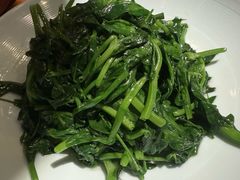 清炒豌豆尖-双流老妈兔头(荟聚店)