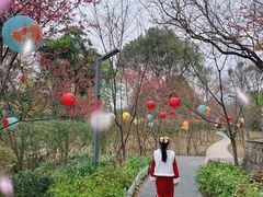 -福建鲤鱼洲酒店