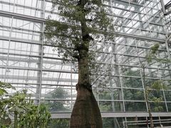 -南山植物园