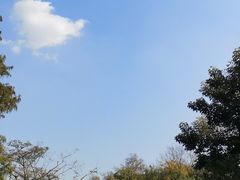 -圩墩遗址公园