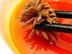 -红鼎坊·老成都火锅(新南门店)