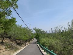 -白水寺森林公园