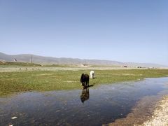 -青海湖国家重点风景名胜区