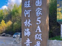 -汤旺河林海奇石景区