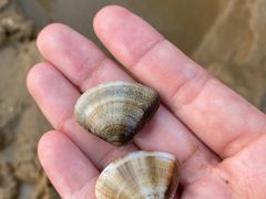 -青岛银沙滩