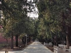 -北京市劳动人民文化宫(太庙)