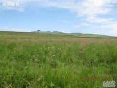 -塞罕坝国家级自然保护区