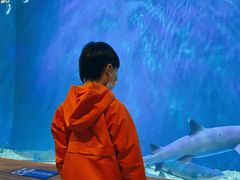 -华夏文旅海洋公园