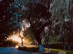 -永定河休闲森林公园