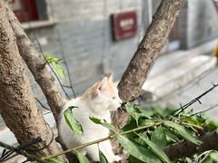 -李叔同故居纪念馆