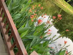 -望江楼公园