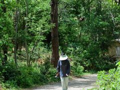 -青龙山国家森林公园