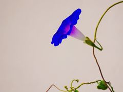 -铁路江上俱乐部