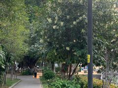 -寮步香市古镇休闲景区