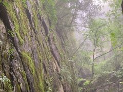 -青峰峡国家森林公园