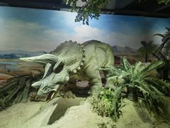 -国家自然博物馆