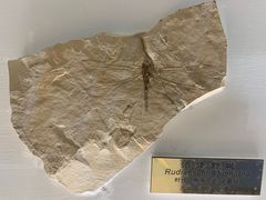 -上海昆虫博物馆