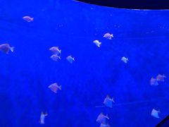 -沈阳海洋探索中心