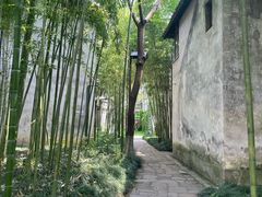 -乌村
