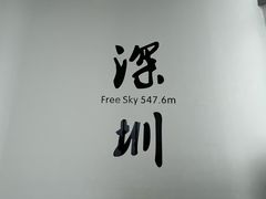 -平安金融中心云际观光层