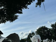 -清迈夜间动物园