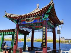 -莲花池公园