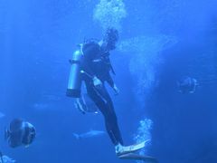 -太平洋海底世界