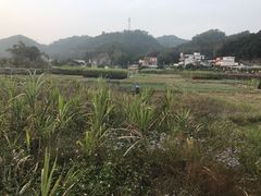 -红山村