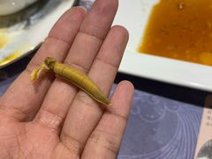 -膳富贵黄油蟹体验馆(欢乐港湾店)