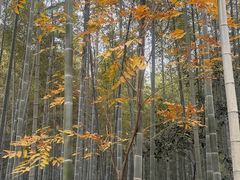 -黄公望隐居地