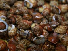 -好日子皇冠假日酒店·君怡咖啡厅(特美思大厦店)