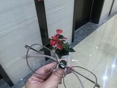 -三目眼镜·蔡司视觉合作店(青浦宝龙店)
