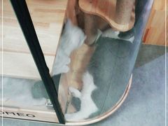 -满悠悠惜食(万豪国际公寓店)