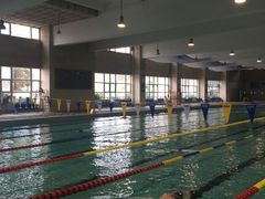 -合肥先民游泳俱乐部