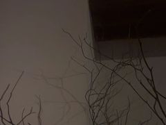 -Hideout Hookah Lounge·隐觅地
