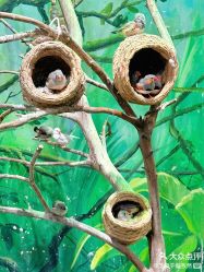 -Zoolung Zoolung动物主题公园(海信广场店)