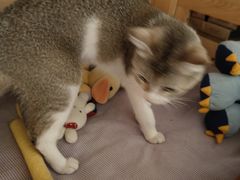 -宠颐生中康贝怡动物医院