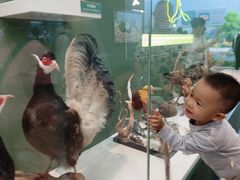 -国家自然博物馆