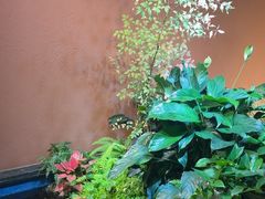 -隐炉和牛烧肉店(群力店)