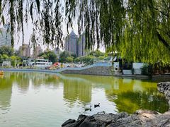 -团结湖公园