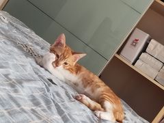 -联合动物医院(光谷诊疗中心)