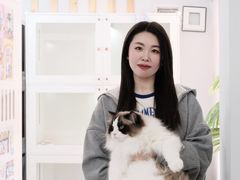 -青奢宠物·青奢猫舍