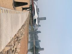 -金沙湖公园