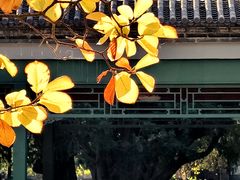 -北京市劳动人民文化宫(太庙)
