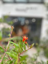 -加帕瑜伽培训学院