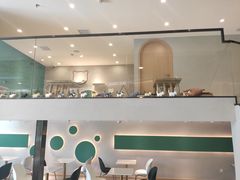 -飞行喵MR PILOT|猫舍·猫咖(静安大融城店)