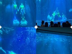 -海合安成都极地海洋公园