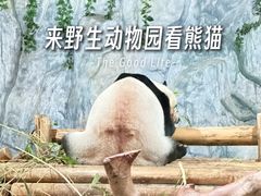 -深圳野生动物园