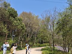 -西湖风景区-江洋畈生态公园