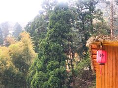 -东天目山风景区